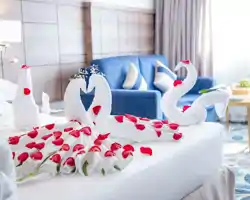 Season Star Hotel thumbnail